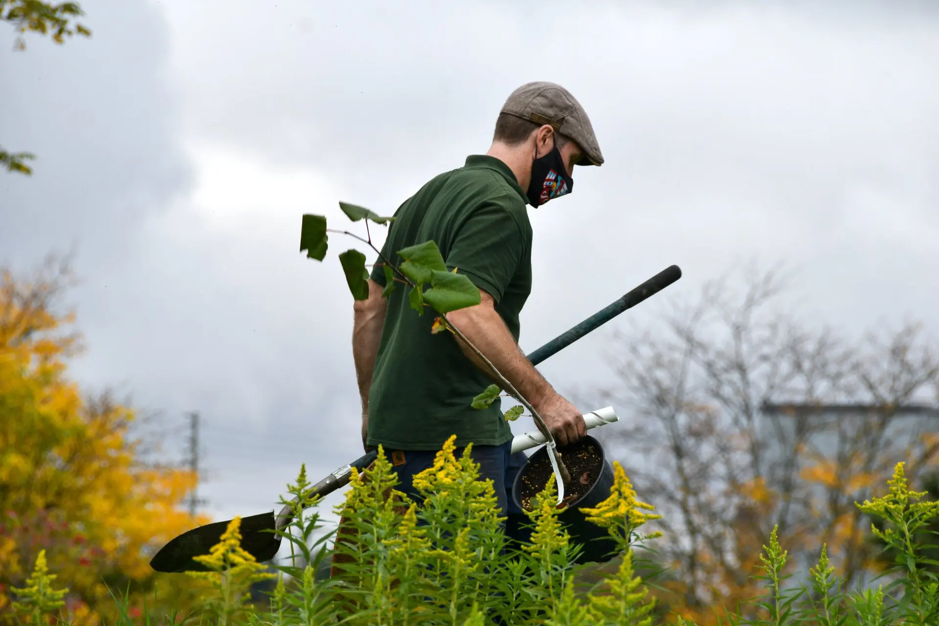 Volunteer planting a tree