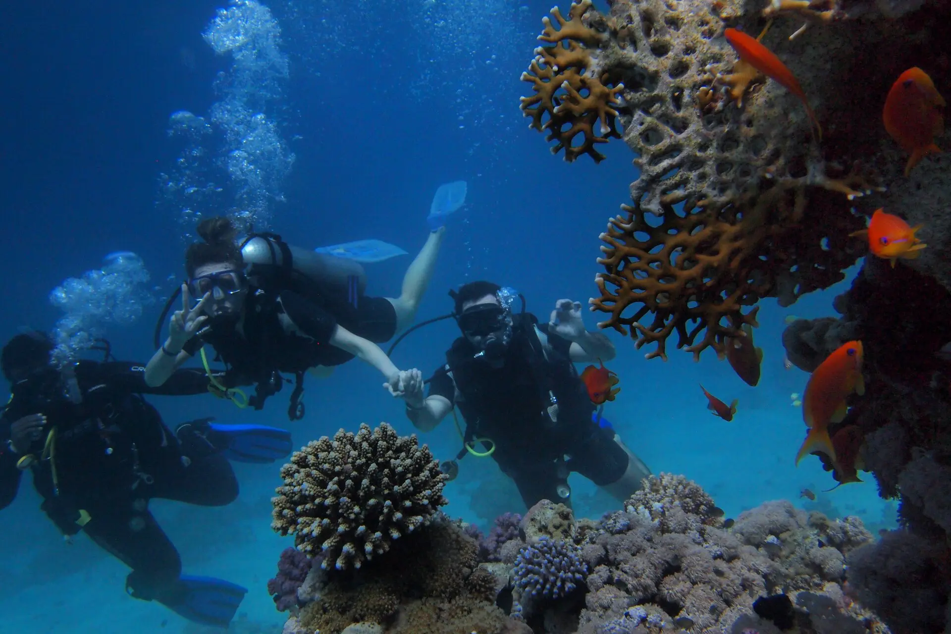 Volunteers scuba diving on the seabed