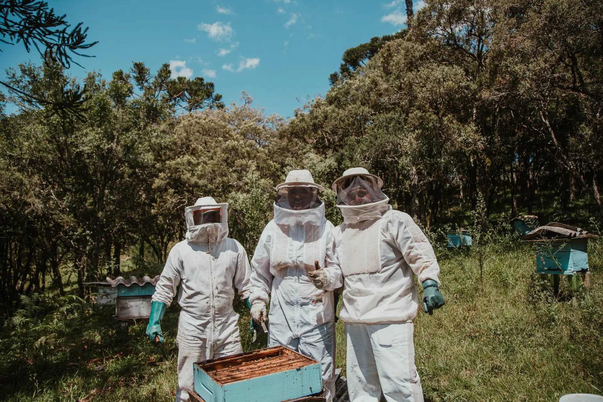 Volunteers working on a beehive